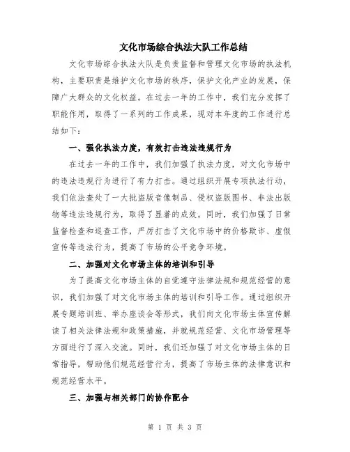 文化市场综合执法大队工作总结