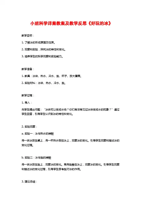 小班科学详案教案及教学反思《好玩的冰》