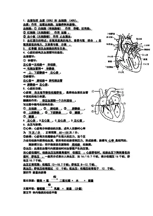 人体的新陈代谢