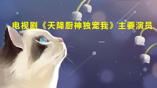 电视剧 天降厨神独宠我 主要演员