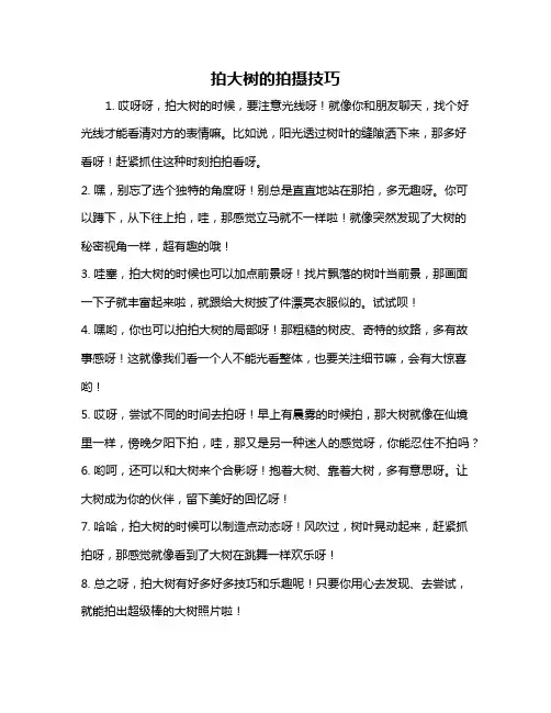 拍大树的拍摄技巧