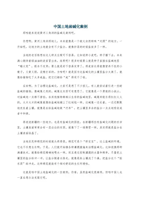 中国土地盐碱化案例