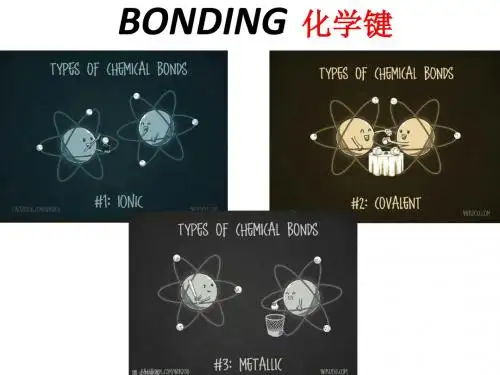 BONDING  化学键