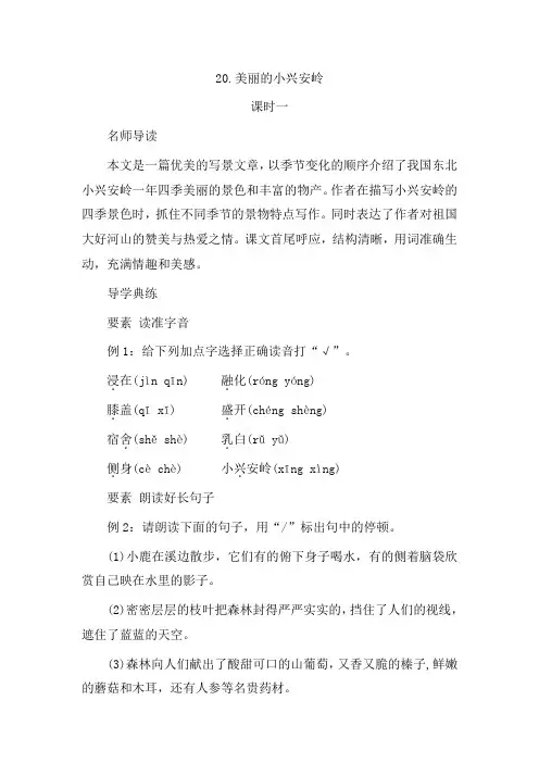 20 美丽的小兴安岭 同步练习(含答案)