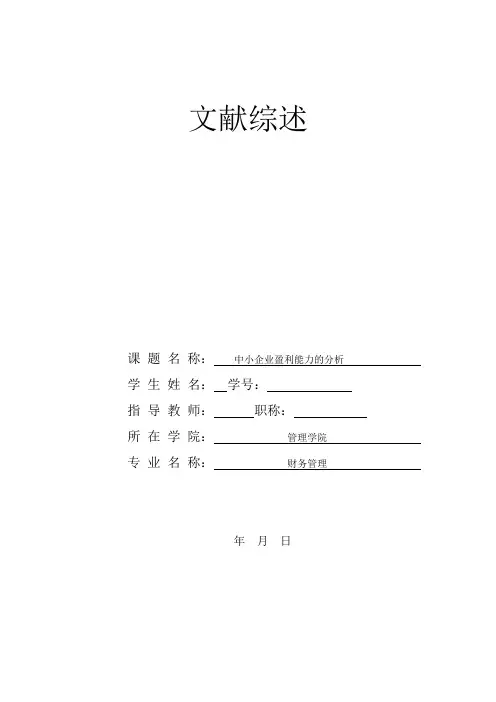 中小企业盈利能力的分析文献综述