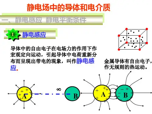 [理学]静电场中的导体