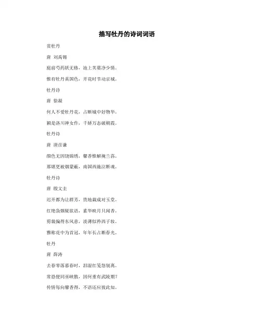 描写牡丹的诗词词语