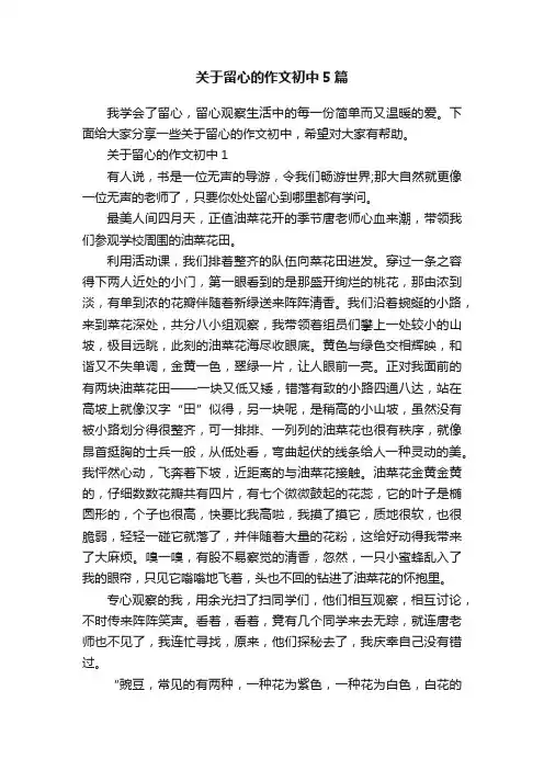 关于留心的作文初中5篇