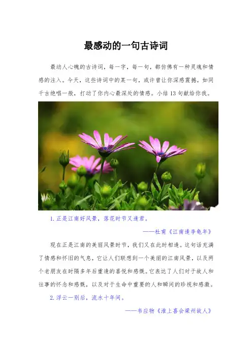 最感动的一句古诗词