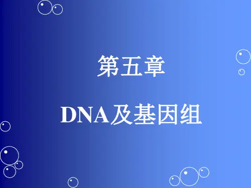 上海交通大学医学院分子生物学课程DNA-1