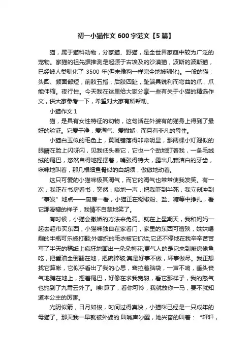 初一小猫作文600字范文【5篇】