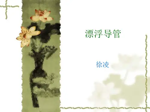 漂浮导管