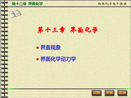 第十三章 界面化学