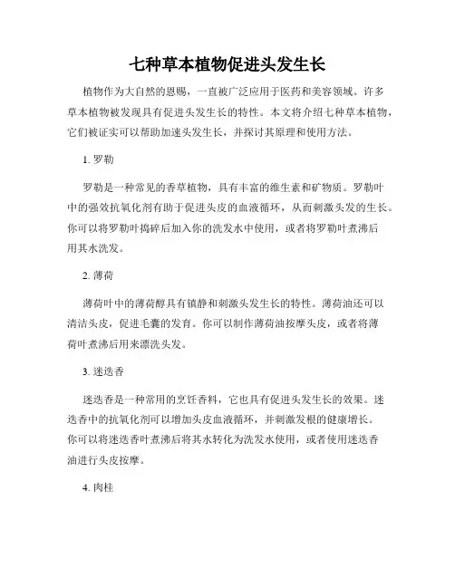 七种草本植物促进头发生长