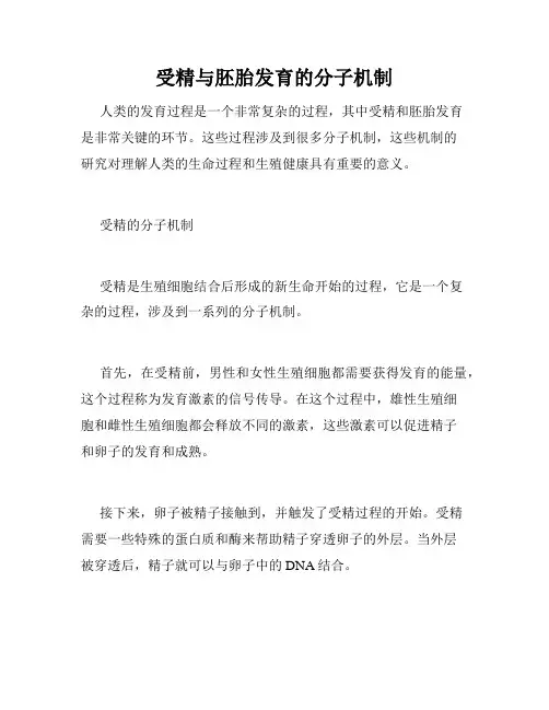 受精与胚胎发育的分子机制