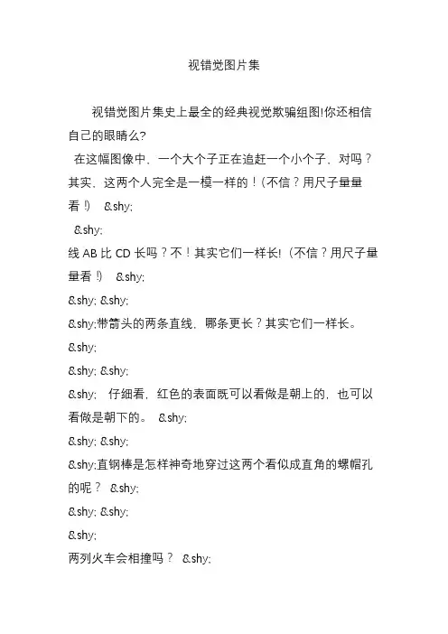 视错觉图片集