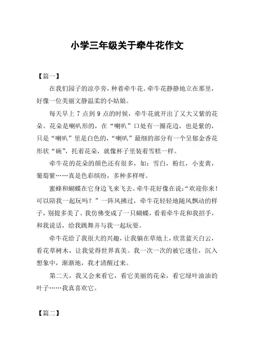 小学三年级关于牵牛花作文