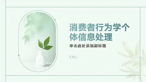 消费者行为学个体信息处理