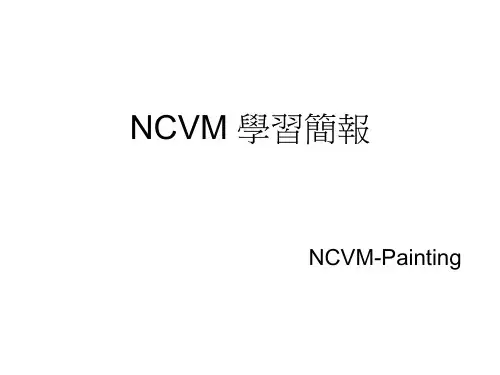 NCVM彩色非导电性镀膜工艺