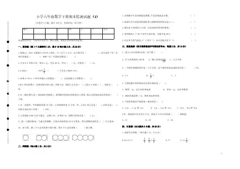 小学六年级数学下册期末检测试题(1)含详解