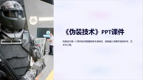 《伪装技术》课件