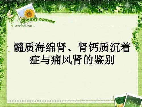 海绵肾、肾钙质沉着症与痛风肾的超声鉴别