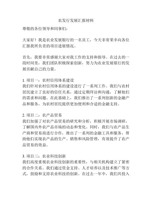 农发行发展汇报材料