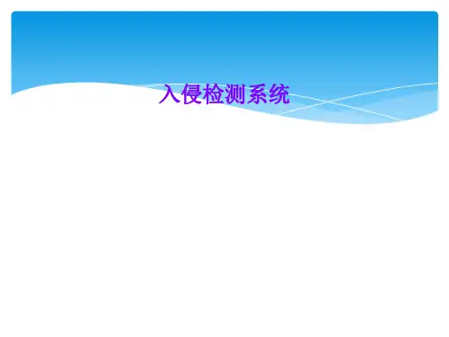 入侵检测系统