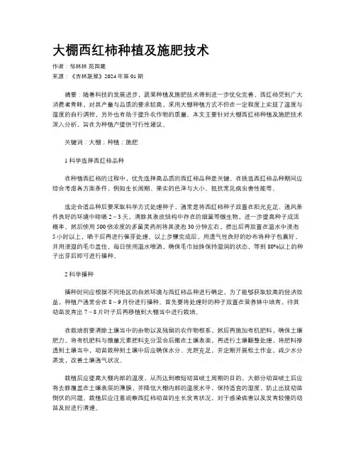 大棚西红柿种植及施肥技术