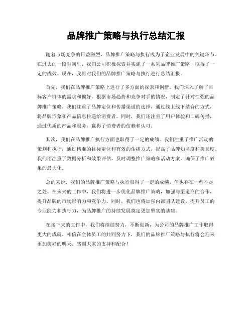 品牌推广策略与执行总结汇报