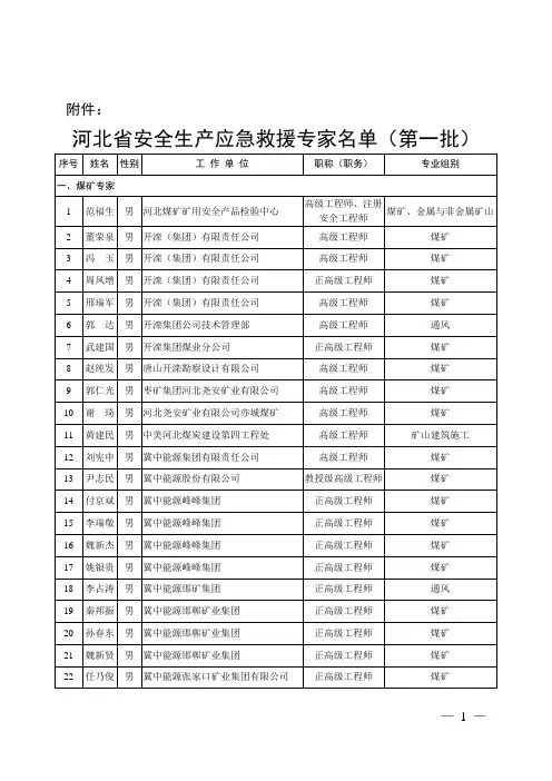 河北省安全生产应急救援专家名单(第一批)附件