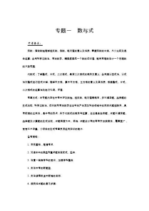 中考数学专题：实数与代数式