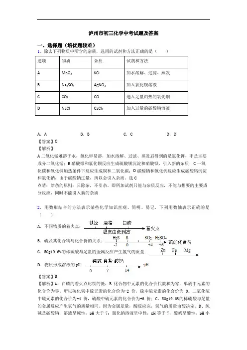 泸州市初三化学中考试题及答案
