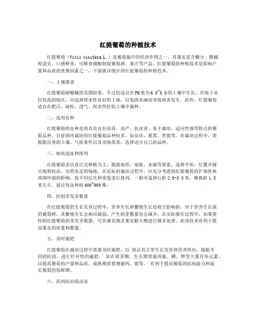 红提葡萄的种植技术