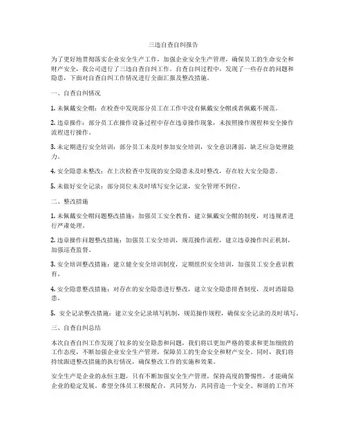 三违自查自纠报告