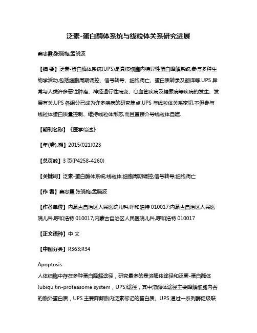 泛素-蛋白酶体系统与线粒体关系研究进展