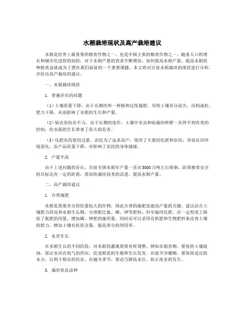 水稻栽培现状及高产栽培建议