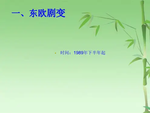 东欧剧变与苏联解体2(共46张PPT)