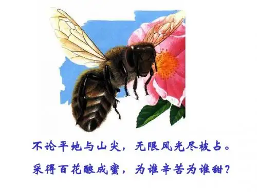 传粉和受精ppt4 济南版