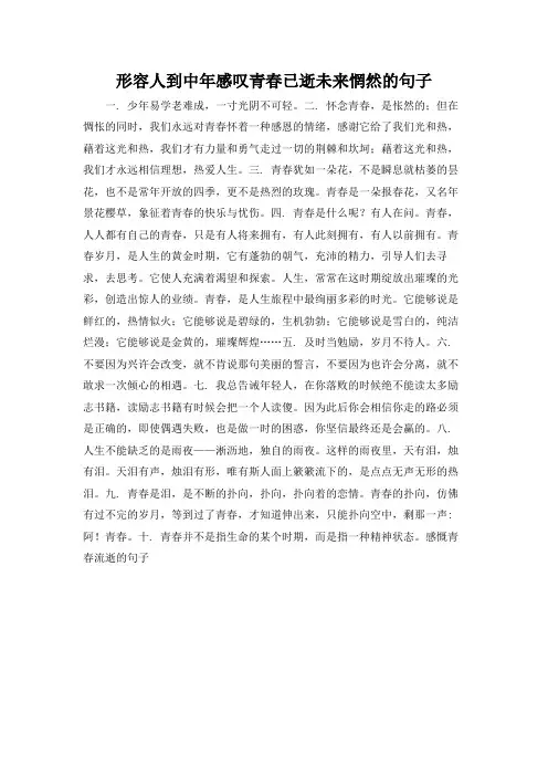 形容人到中年感叹青春已逝未来惘然的句子