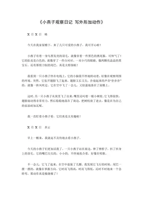 日记300字写小动物燕子外形加动作