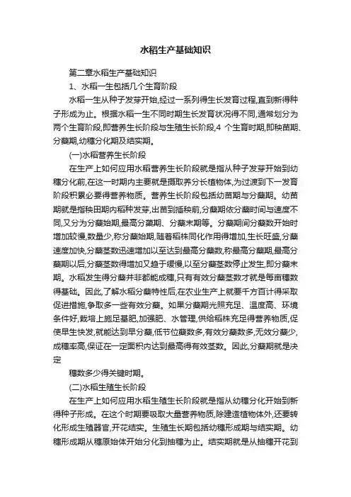 水稻生产基础知识