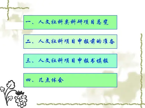人文社会科学类科研项目申报的点滴体会