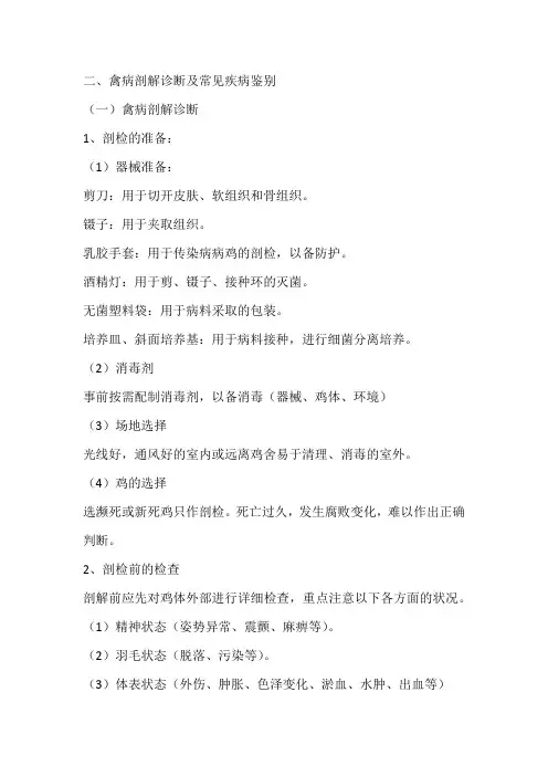 鸡解剖常见病区别