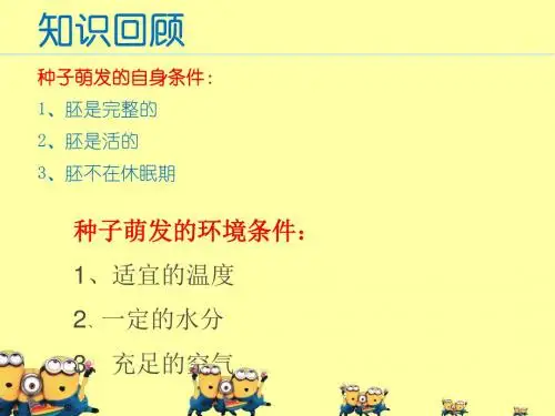 3.2.2 植株的生长课件.ppt