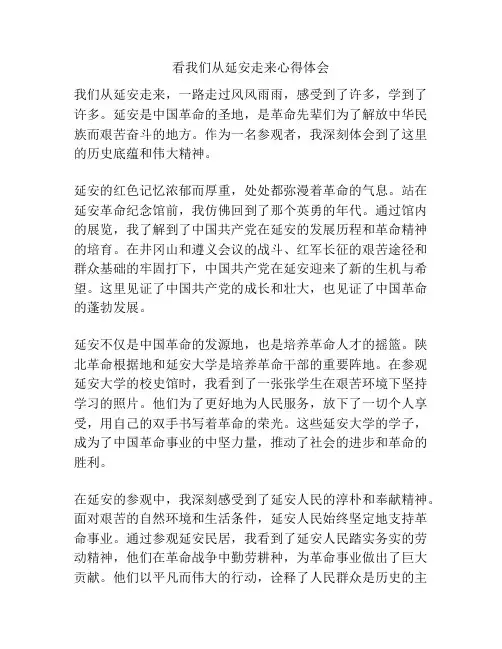 看我们从延安走来心得体会