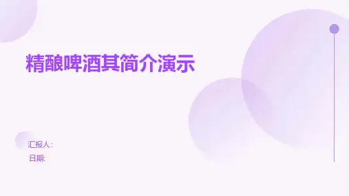 精酿啤酒其简介演示