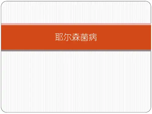 耶尔森菌病