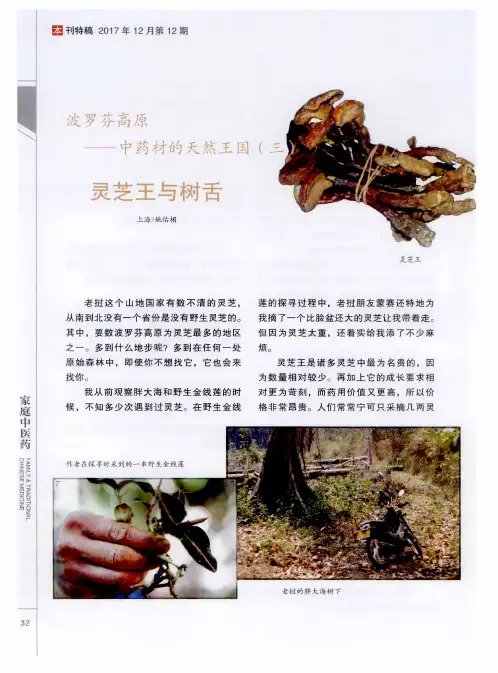 波罗芬高原——中药材的天然王国(三) 灵芝王与树舌