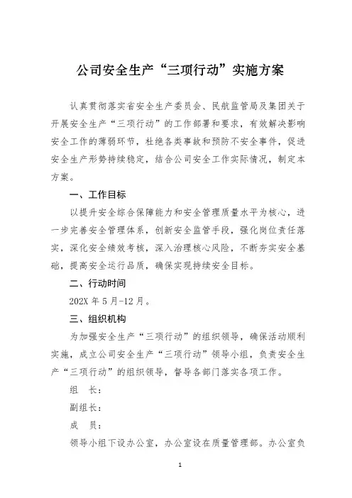 公司安全生产“三项行动”实施方案